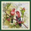 Bird on the branch (/)