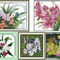 Orchid (/)