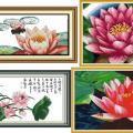 Lotus (/)
