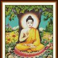 Sakyamuni (/)