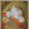 Cat in sleep ()