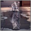 Cat Tiger ()