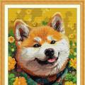 Akita (/)