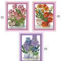 Potted flower series (/)