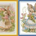 Cute Rabbit (/)