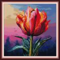 Tulip Beauty (/)