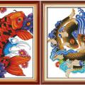 Carp fish (/)