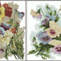 Pansy (/)