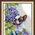 Bulldog (/)