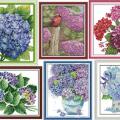 Hydrangea (/)