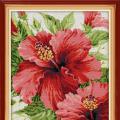 Red hibiscus (/)
