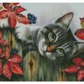 Cat on the fence ()