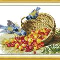 Birds and Fruits (/) 