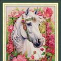 White horse (/)