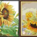 Sunflower (/)