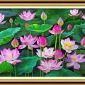 Lotus pond ()