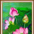Lotus ()