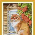Cat in the window (/)