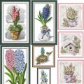 Hyacinth (/)
