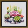 Succulent cactus ()