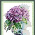 Hydrangea (/)