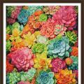Succulent cactus ()