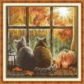 Autumn cats (/)