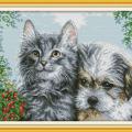 Kitten and puppy (/)