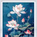 Lotus ()