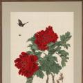 Peony flower ()