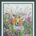 The fox (/)