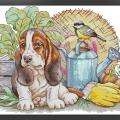 Garden puppy (/)