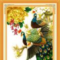 Peacock and Peony ()