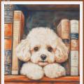 Dog on shelf ()