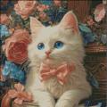 Meow's music ()