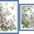 Clematis montana (/)