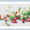 Strawberry fruit ()