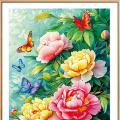 Peony blooming ()