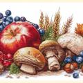Fruit and mushroom ()