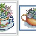 Succulent (/)
