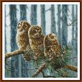 Family owls (�������/��������)