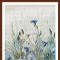Cornflower (�������/��������)