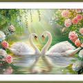 Swan Lake (��������)
