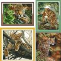 Leopard (�������/��������)