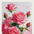 Fragrance Roses (��������)
