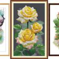 Colorful rose (�������/��������)