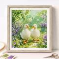 Little Duck in the Garden (��������)
