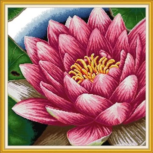 ٻҾ2 ͧԹ : Lotus (/)
