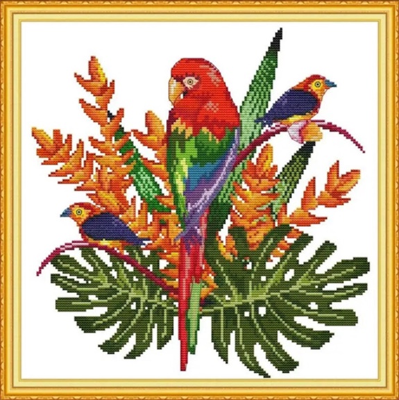 ٻҾ2 ͧԹ : Beautiful parrot (/)