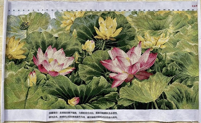 ٻҾ2 ͧԹ : ͡ Lotus pond ()